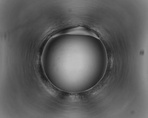 X0000091590744200708201229