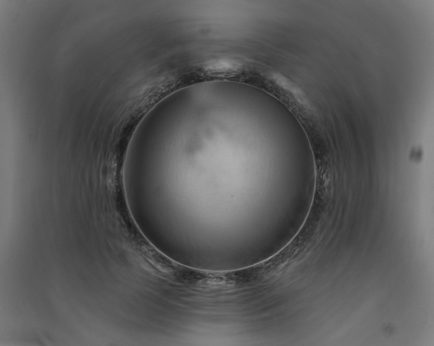 X0000091590745200708201229