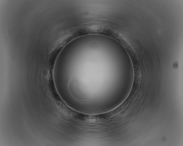 X0000091590746200708201229