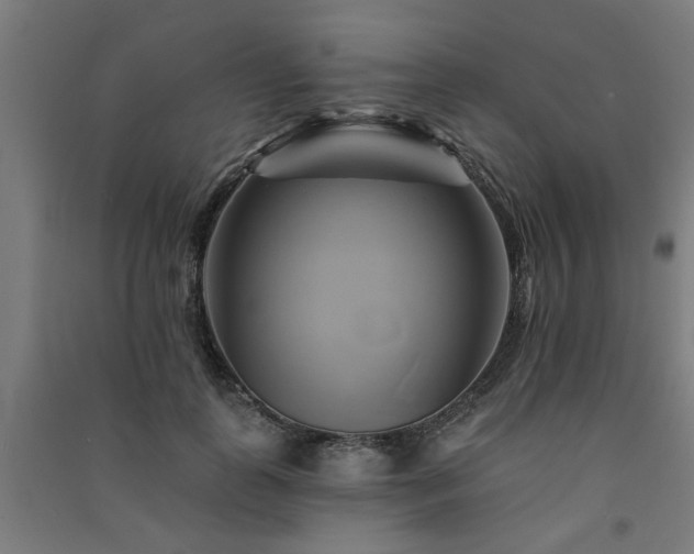 X0000091590747200708201229