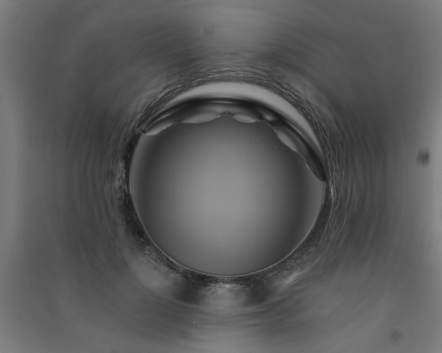 X0000091590748200708201229