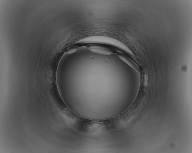 X0000091590750200708201229