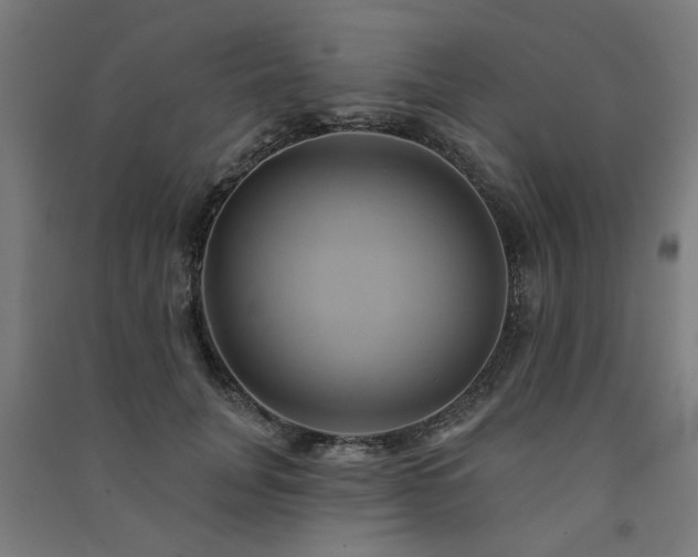 X0000091590751200708201229