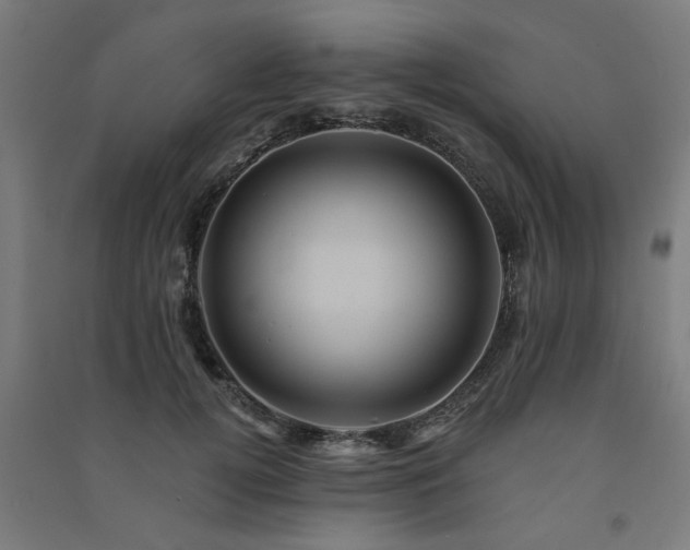 X0000091590752200708201229