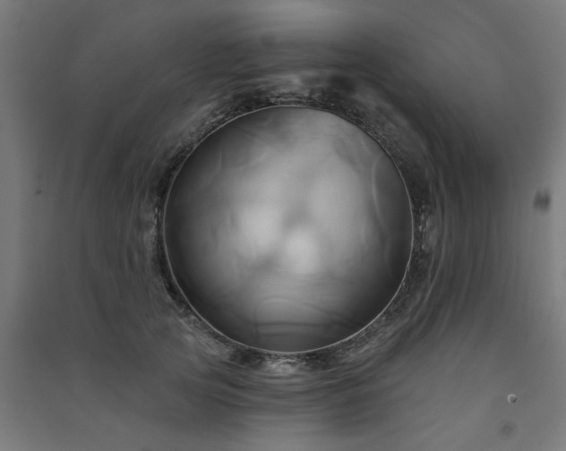 X0000091590753200708201229