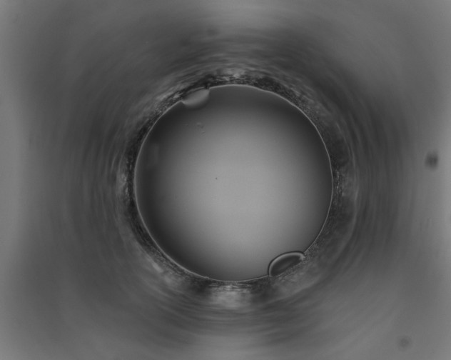 X0000091590754200708201229