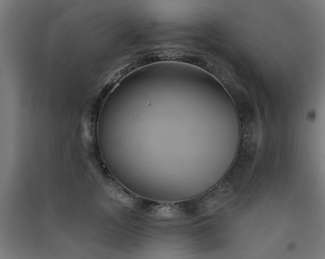 X0000091590755200708201229