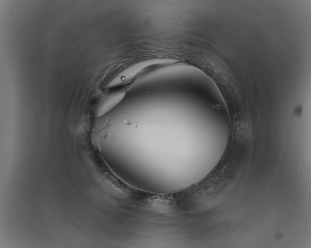 X0000091590756200708201229