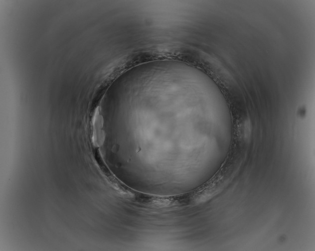 X0000091590757200708201229