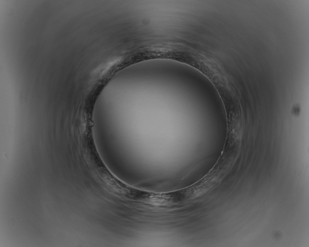 X0000091590758200708201229