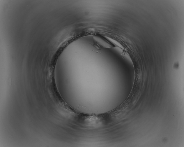 X0000091590759200708201229