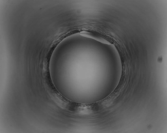 X0000091590760200708201230