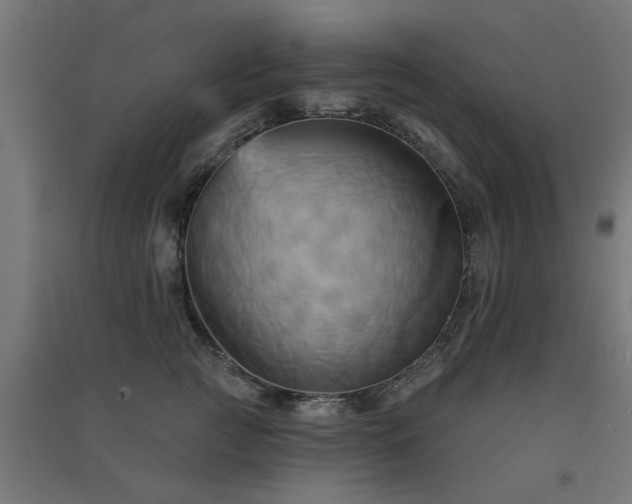 X0000091590761200708201230