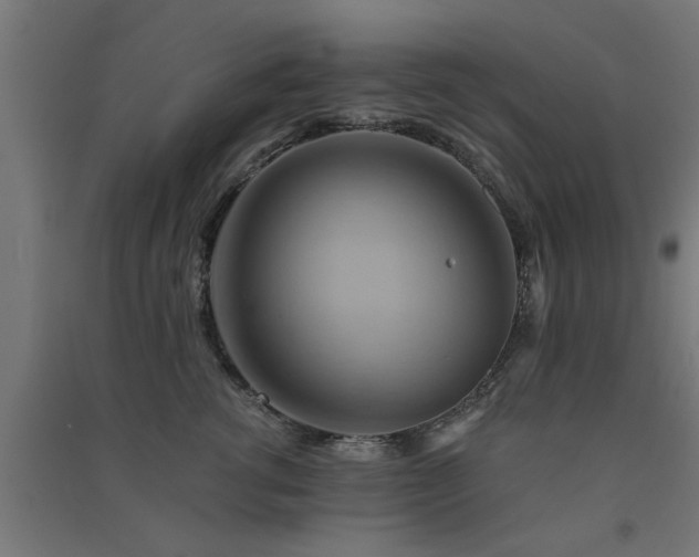X0000091590762200708201230