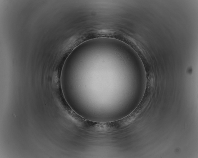 X0000091590764200708201230