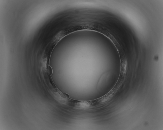 X0000091590765200708201230