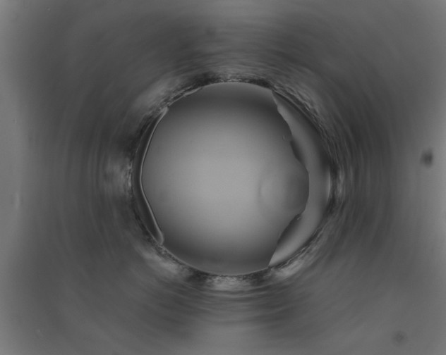 X0000091590766200708201230