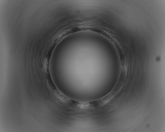 X0000091590767200708201230