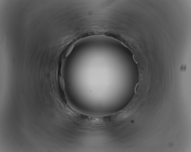 X0000091590768200708201230