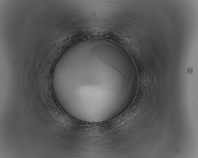 X0000091590769200708201229