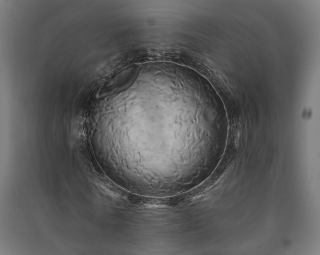 X0000091590770200708201229