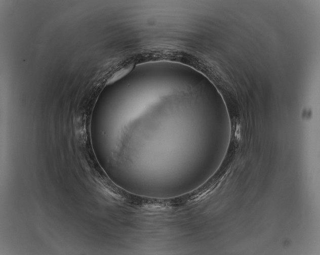 X0000091590771200708201229