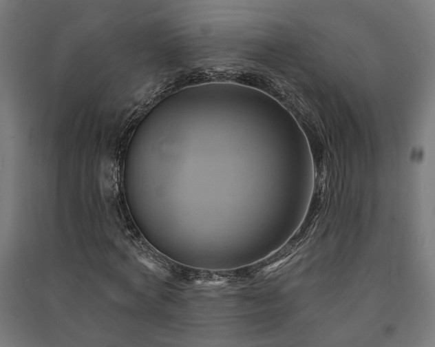 X0000091590772200708201229