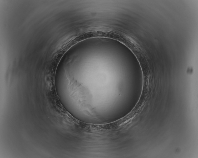 X0000091590774200708201229