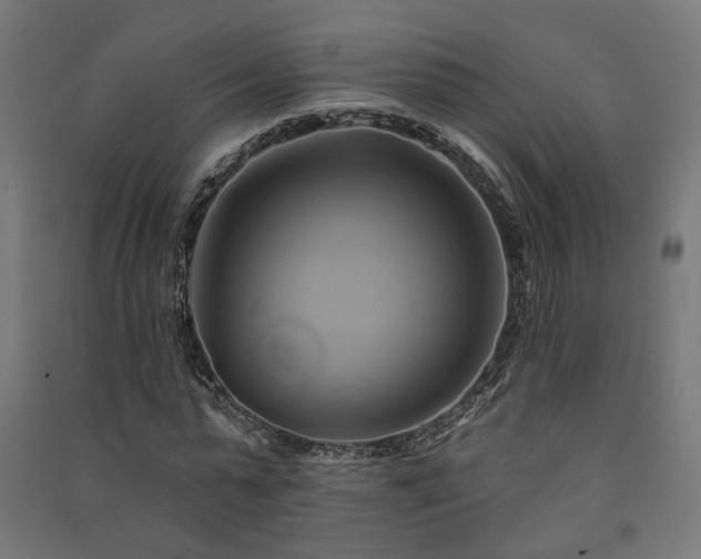 X0000091590775200708201229