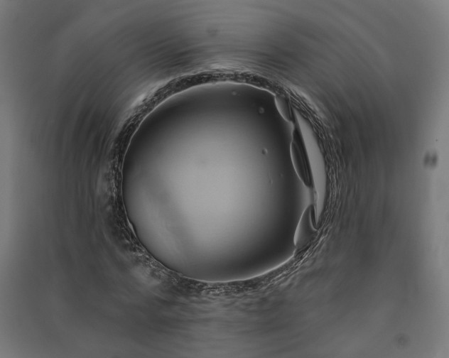 X0000091590776200708201229