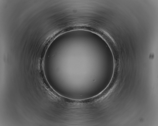 X0000091590777200708201229