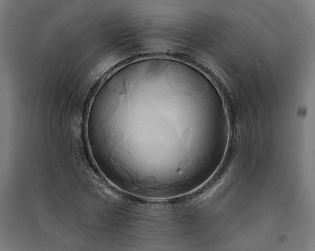 X0000091590778200708201229