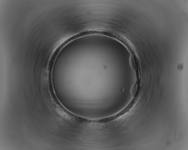 X0000091590779200708201229