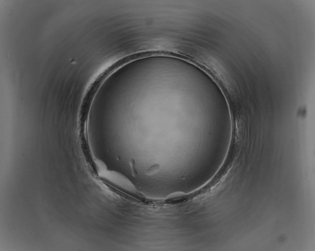 X0000091590780200708201229