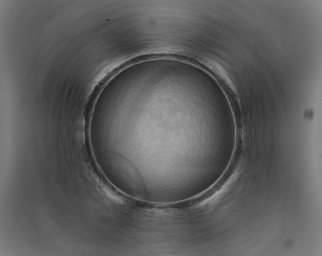 X0000091590781200708201229