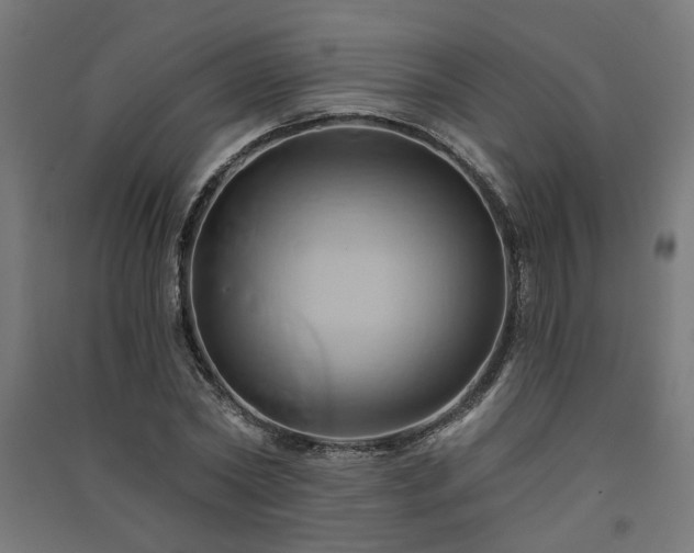 X0000091590782200708201229