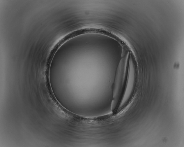 X0000091590783200708201229