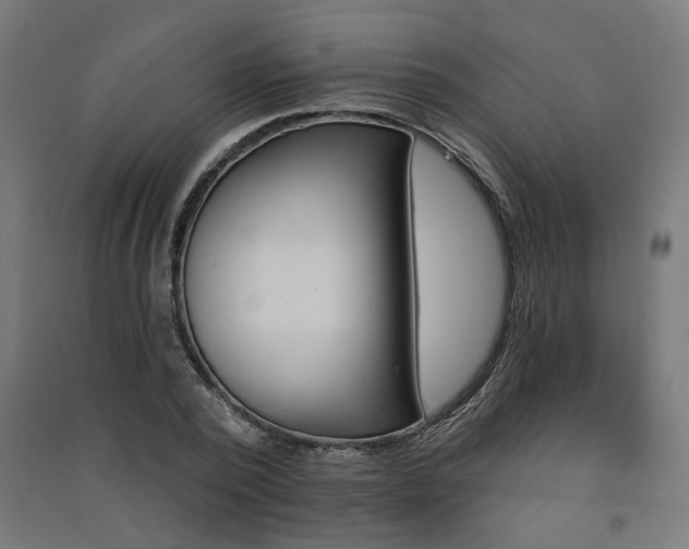 X0000091590784200708201229