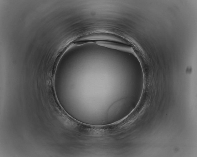 X0000091590785200708201229