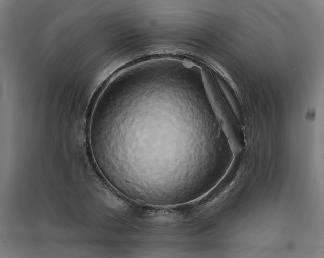 X0000091590786200708201229