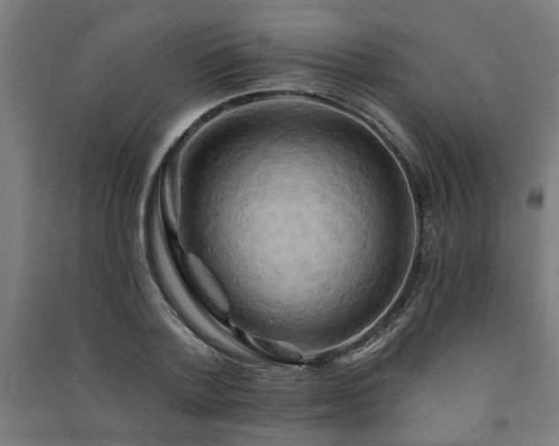 X0000091590788200708201229