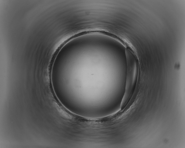 X0000091590789200708201229