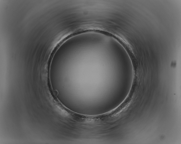 X0000091590790200708201229