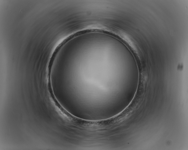X0000091590791200708201229