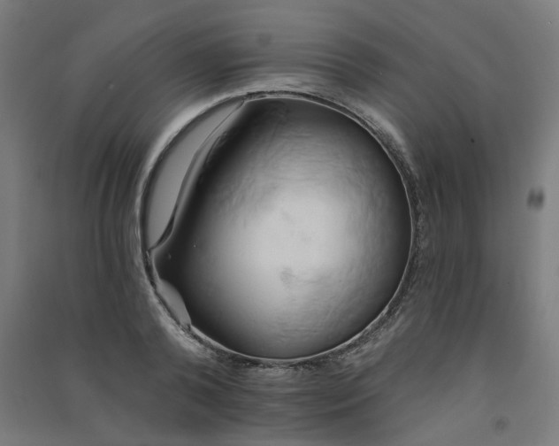 X0000091590792200708201229