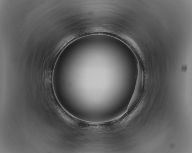 X0000091590793200708201229