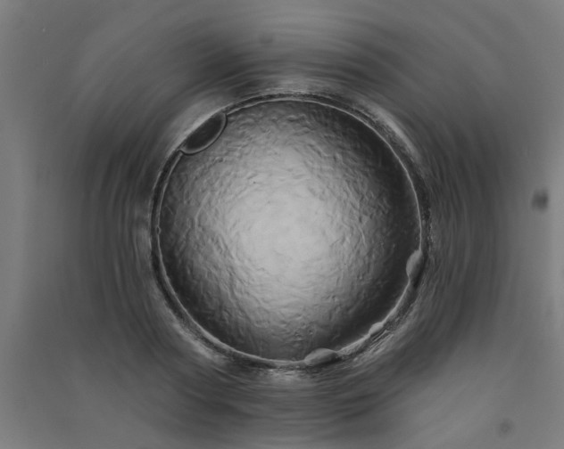 X0000091590794200708201229