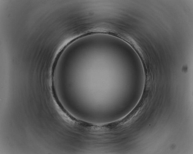 X0000091590795200708201229