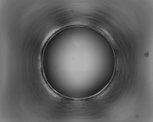 X0000091590796200708201229