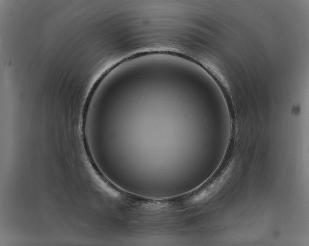 X0000091590797200708201229